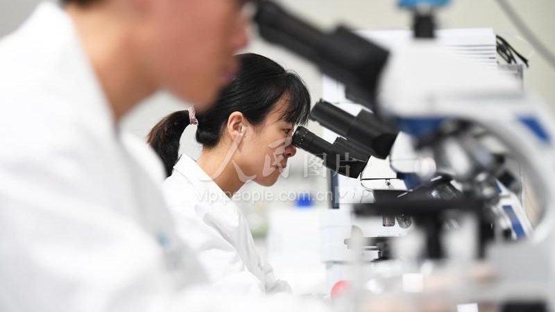 PCR实验室建设：预算构成与关键考量