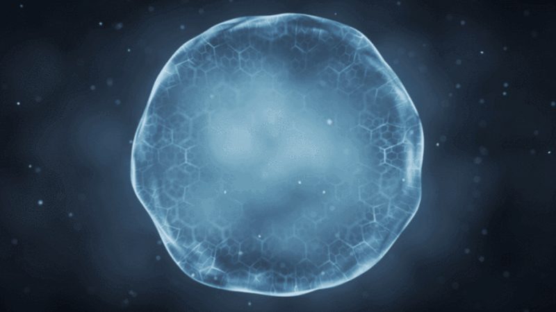 一次性生物反应器定制：揭秘定制化背后的工艺奥秘