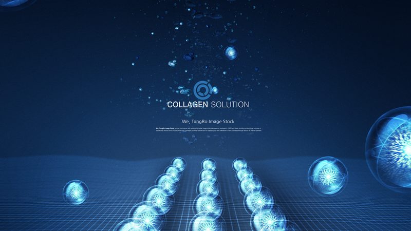 DNA聚合酶型号解析：揭秘基因编辑的“精准利器