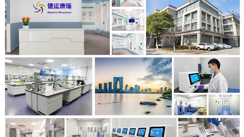 CRO优化方案定制不是越贵越好