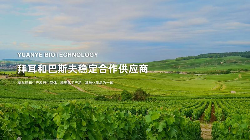 游泳基因检测：揭秘游泳运动员的基因奥秘
