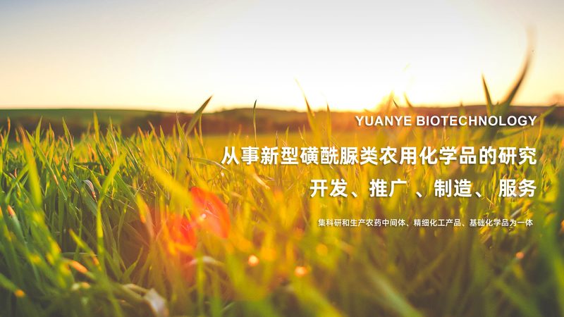 小标题：CRO优化培训的意义