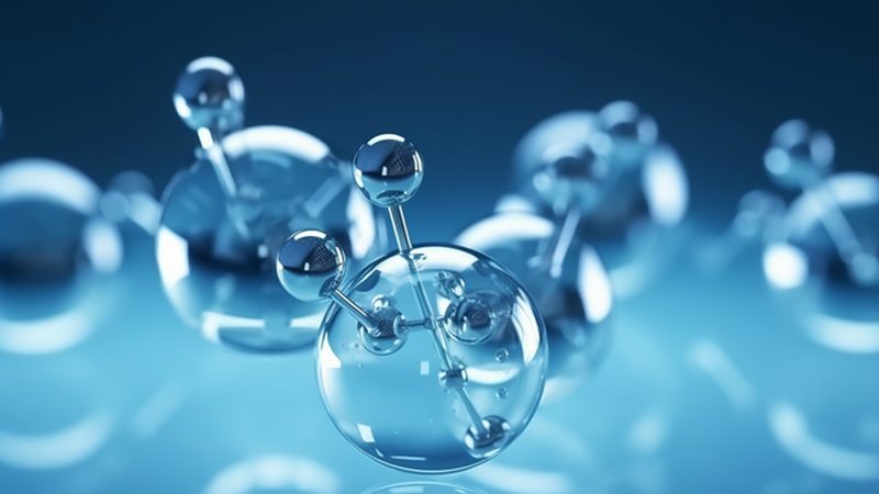 细菌培养基：如何选择合适的品牌？**