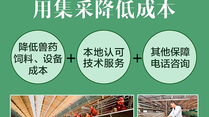 上海抗体研发外包公司的关键考量因素**
