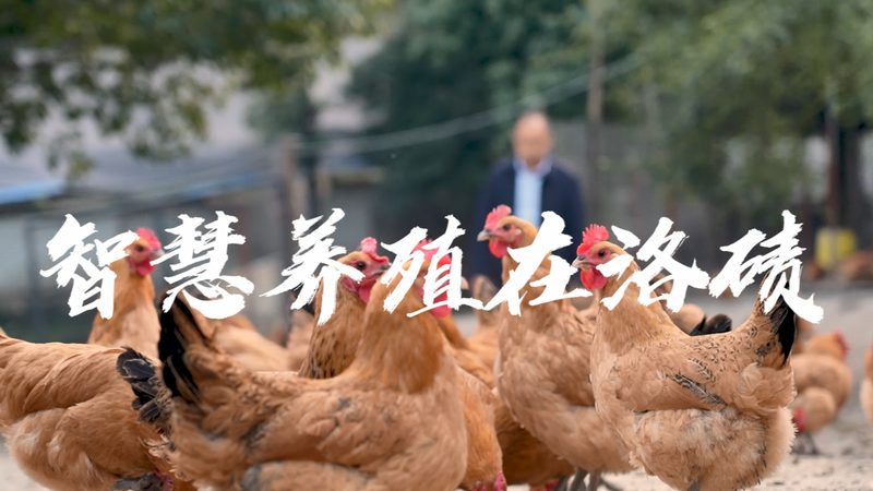 生物试剂标准物质认证，那些你不可不知的要点**