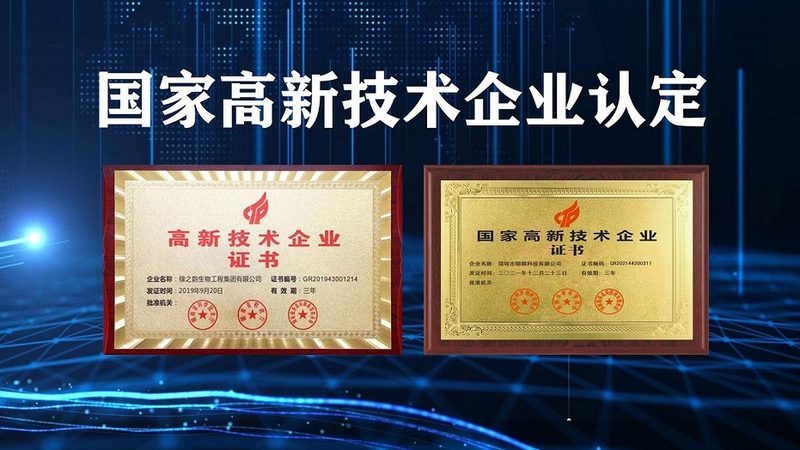API原料药CDMO报价单：揭秘背后的考量因素