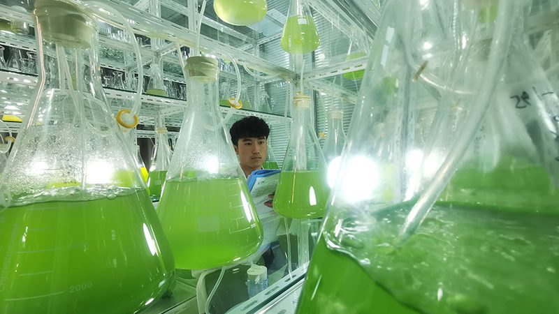 成都定制服务：CRo优化工具如何助力生物科技研发